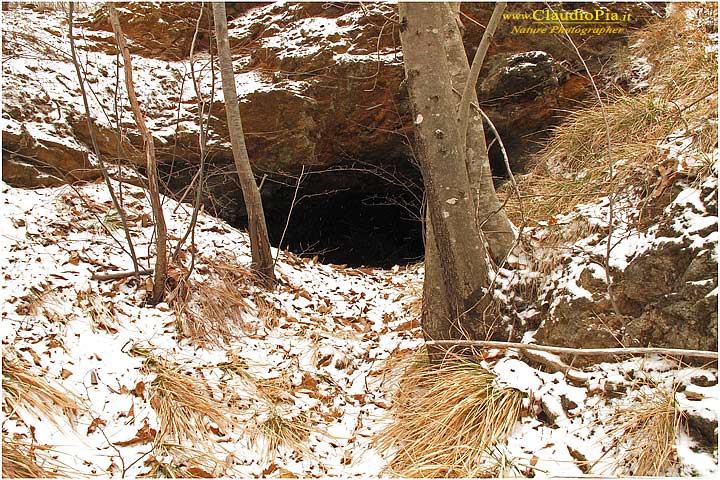 mine, cave, miniera, underground, photography, nature photographer